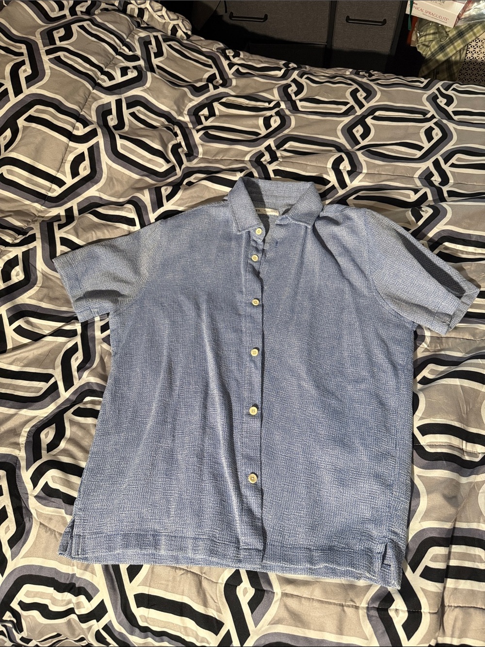 Zara Blue Short-Sleeve Button-Down Shirt